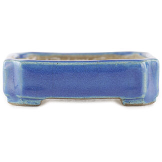  Satomi Mazan, Mazan Terahata 70 mm rectangular blue bonsai pot by Terahata Satomi Mazan, Tokoname, Japan