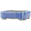 Maceta rectangular azul para bonsái de Terahata Satomi Mazan - 70 x 60 x 20 mm