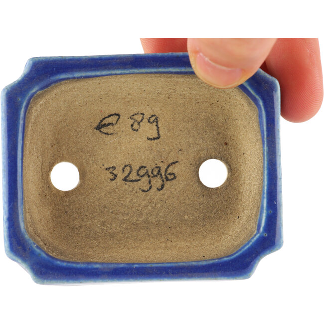 Vaso bonsai rettangolare blu di Terahata Satomi Mazan - 70 x 60 x 20 mm