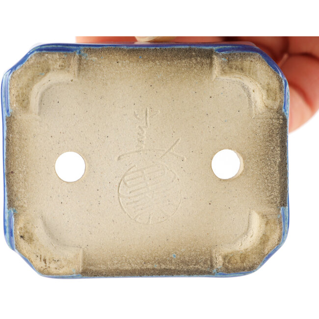 Vaso bonsai rettangolare blu di Terahata Satomi Mazan - 70 x 60 x 20 mm