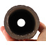 Pot à bonsaï rond non émaillé de Yamaaki Koshosen (première génération) - 75 x 75 x 135 mm
