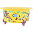 Pot à bonsaï rond multicolore jaune de Syoami - 175 x 175 x 90 mm