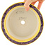 Pot à bonsaï rond multicolore jaune de Syoami - 175 x 175 x 90 mm