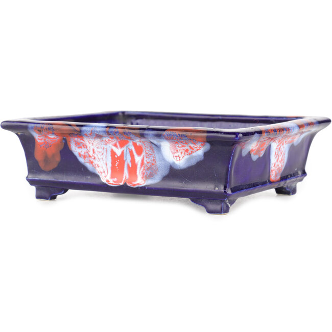 Maceta rectangular para bonsái con efecto craquelado azul de Bushuan Fukushige - 170 x 135 x 50 mm