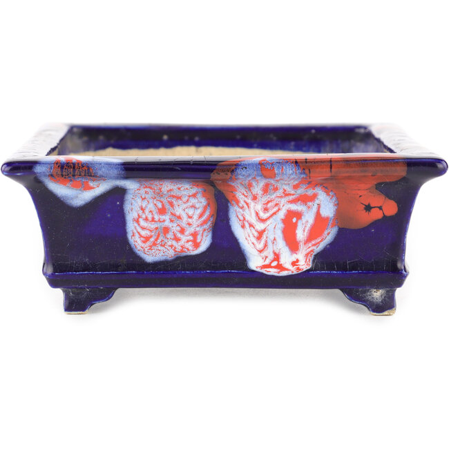 Rechthoekige blauwe craquelé bonsai pot van Bushuan Fukushige - 170 x 135 x 50 mm