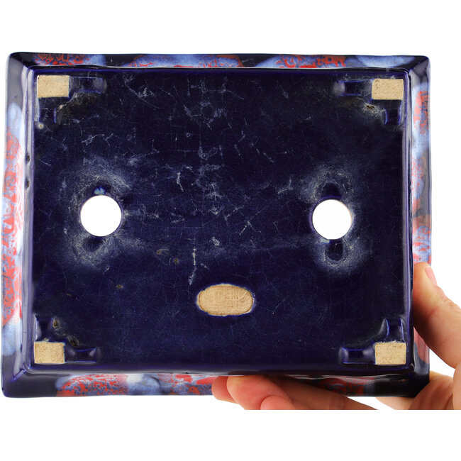Maceta rectangular para bonsái con efecto craquelado azul de Bushuan Fukushige - 170 x 135 x 50 mm