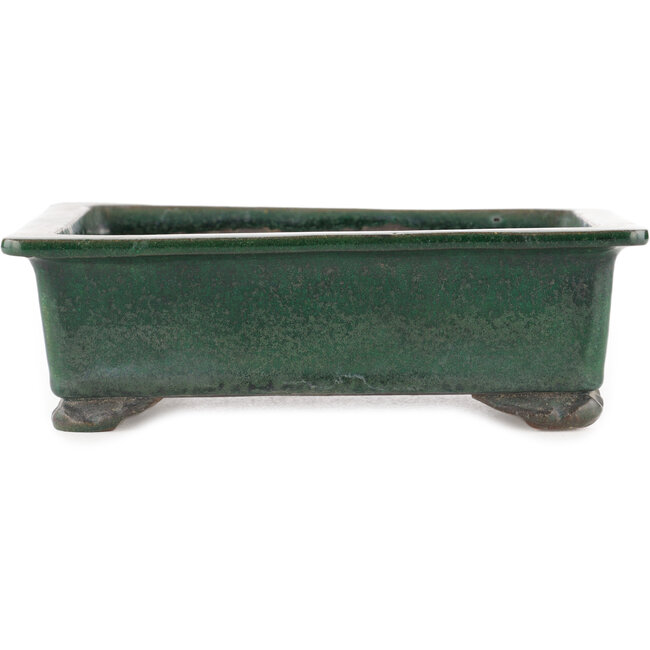 Pot à bonsaï rectangulaire vert de Tofukuji 2e génération - 185 x 130 x 60 mm