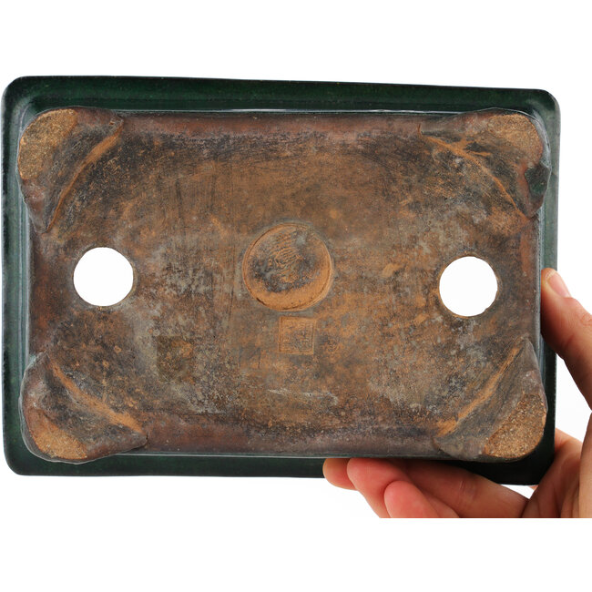 Pot à bonsaï rectangulaire vert de Tofukuji 2e génération - 185 x 130 x 60 mm