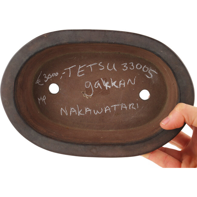 Maceta ovalada sin esmaltar para bonsái de Tetsu gakkan Nakawatari - 205 x 135 x 50 mm