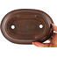 Pot à bonsaï ovale non émaillé par Tetsu gakkan Nakawatari - 205 x 135 x 50 mm