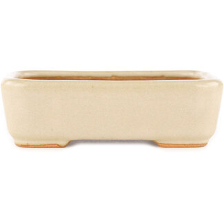  Hattori Tomoyuki 140 mm rectangular off-white bonsai pot by Hattori, Tokoname, Japan
