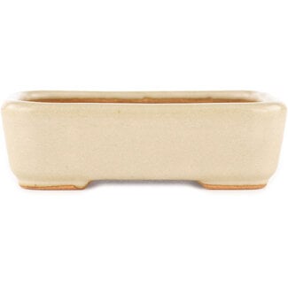 Hattori Tomoyuki 140 mm rectangular off-white bonsai pot by Hattori, Tokoname, Japan