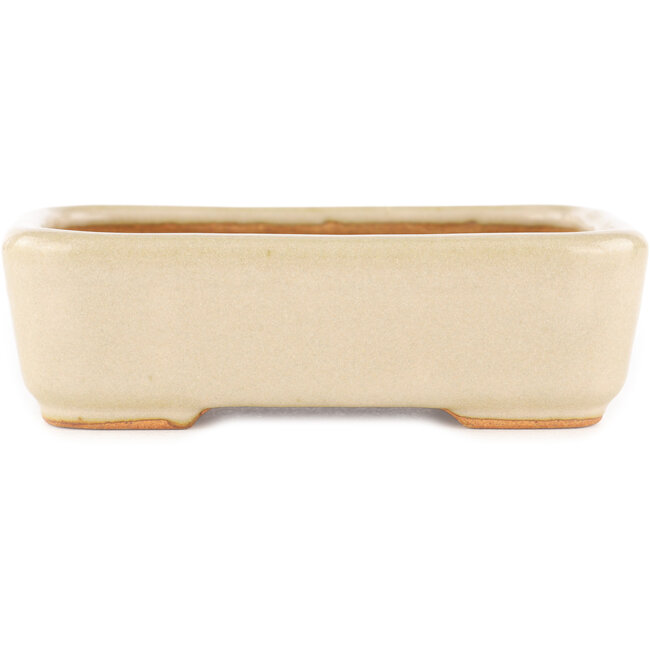 Rectangular off-white bonsai pot by Hattori - 140 x 100 x 40 mm