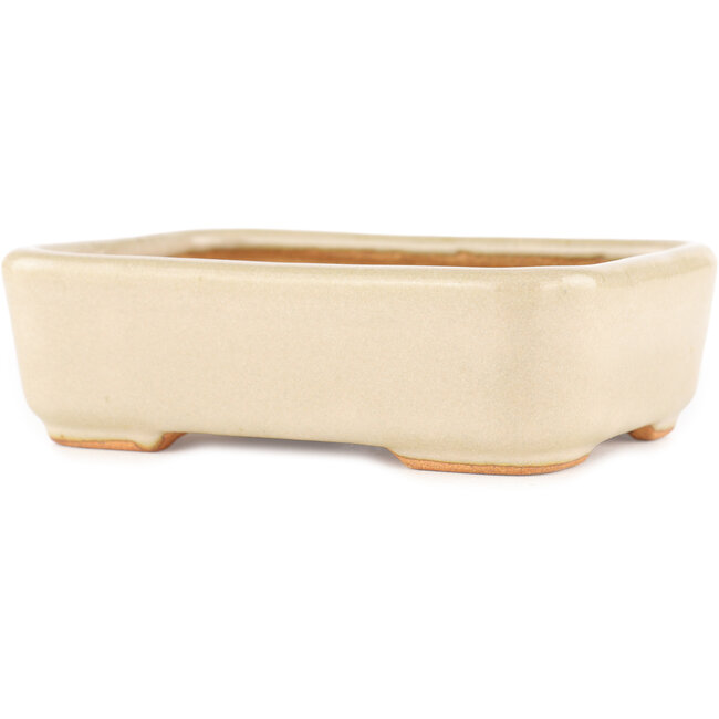 Maceta rectangular para bonsái de color blanco roto de Hattori - 140 x 100 x 40 mm