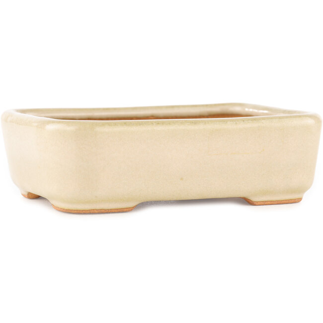 Pot à bonsaï rectangulaire blanc cassé de Hattori - 140 x 100 x 40 mm