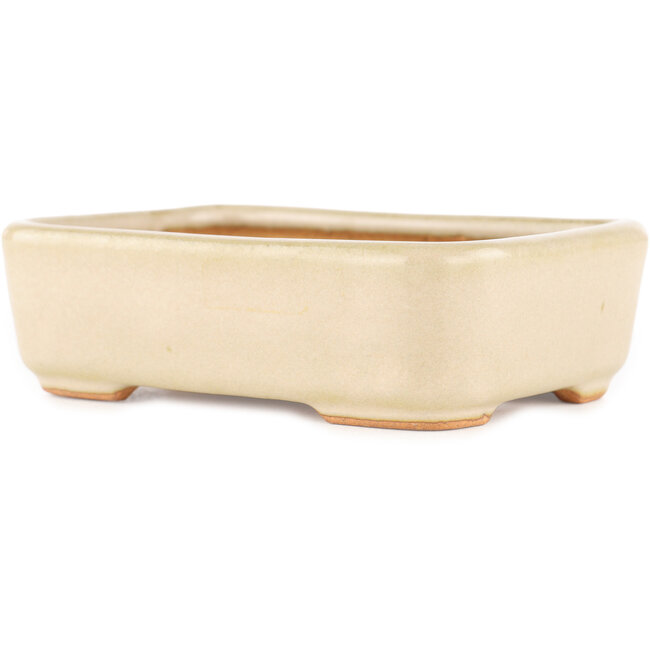 Rectangular off-white bonsai pot by Hattori - 140 x 100 x 40 mm
