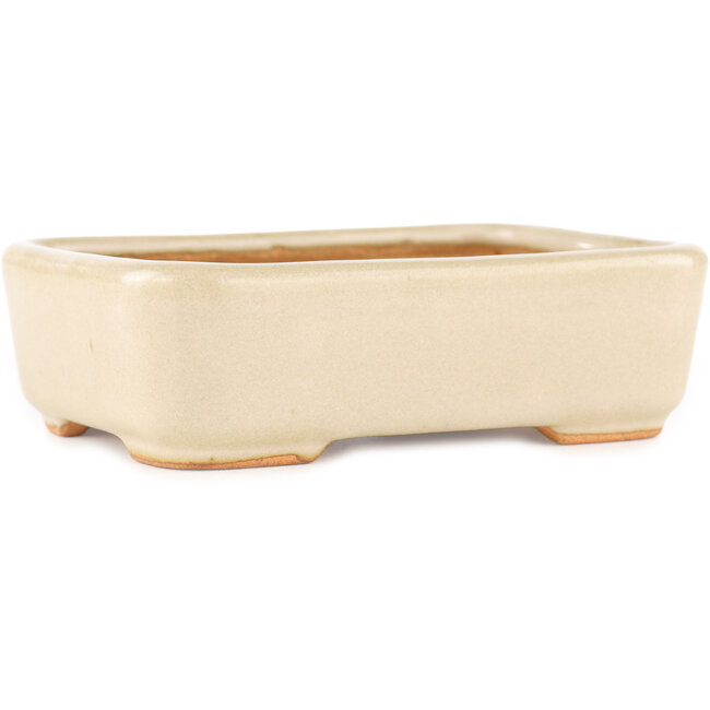 Maceta rectangular para bonsái de color blanco roto de Hattori - 140 x 100 x 40 mm