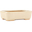 Rectangular off-white bonsai pot by Hattori - 140 x 100 x 40 mm