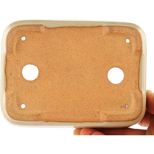 Maceta rectangular para bonsái de color blanco roto de Hattori - 140 x 100 x 40 mm