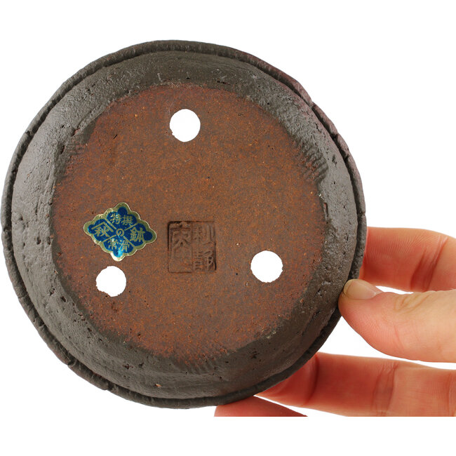 Pot à bonsaï rond marron - 100 x 100 x 30 mm