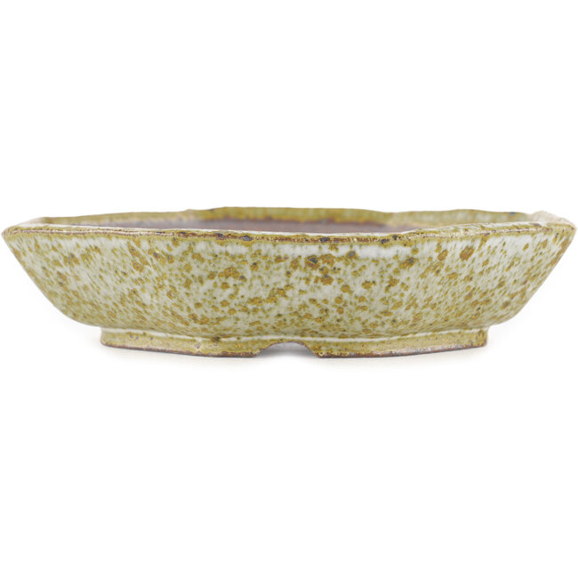 Vaso bonsai ottagonale marrone e bianco di Reiho - 170 x 170 x 40 mm