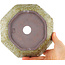 Pot à bonsaï octogonal marron et blanc de Reiho - 170 x 170 x 40 mm