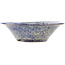 Round blue bonsai pot by Shuhou - 160 x 160 x 50 mm