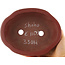Pot à bonsaï non émaillé Mokko de Shuhou - 185 x 145 x 60 mm