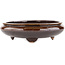 Round brown bonsai pot by Shuhou - 220 x 220 x 65 mm