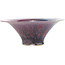 Pot à bonsaï rond bleu et violet - 285 x 285 x 115 mm