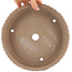 Pot à bonsaï rond non émaillé de Shoko - 220 x 220 x 50 mm