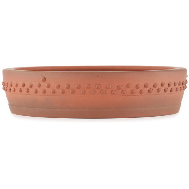 Vaso bonsai rotondo non smaltato di Shoko - 235 x 235 x 55 mm