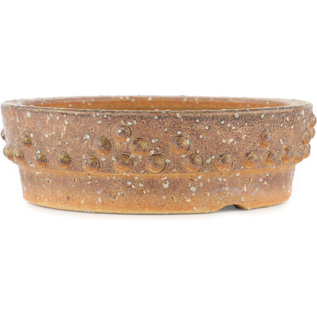 Vaso bonsai rotondo non smaltato - 250 x 250 x 80 mm