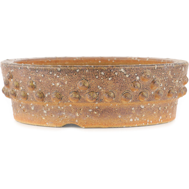 Vaso bonsai rotondo non smaltato - 250 x 250 x 80 mm