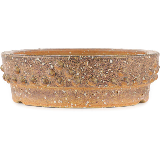 Pot à bonsaï rond non émaillé - 250 x 250 x 80 mm