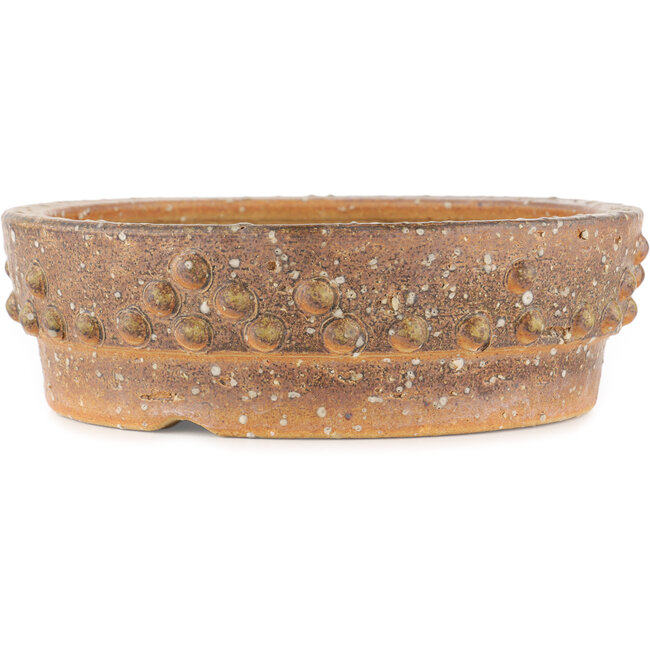 Pot à bonsaï rond non émaillé - 250 x 250 x 80 mm