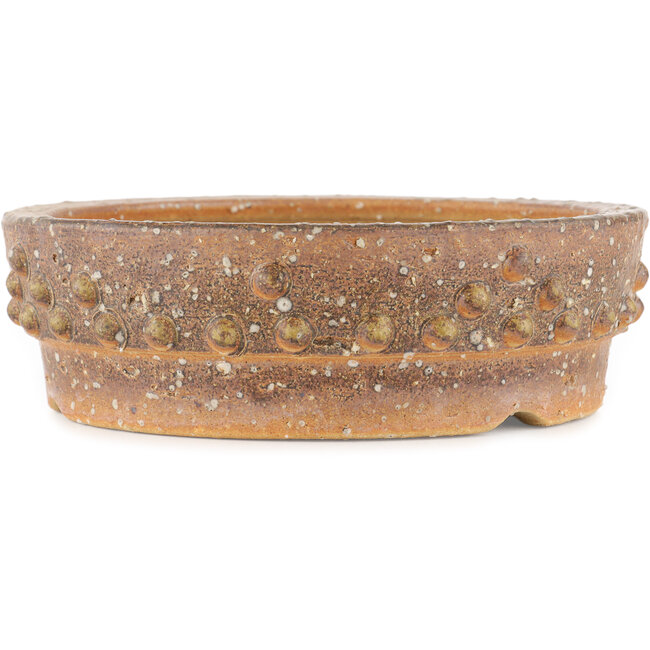 Pot à bonsaï rond non émaillé - 250 x 250 x 80 mm