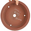 Maceta para bonsái redonda sin esmaltar de Shoko - 227 x 227 x 53 mm