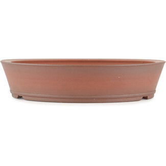 Shoko Pot à bonsaï rond non émaillé de 225 mm par Shoko, Tokoname, Japon