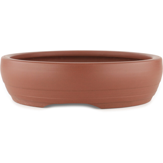 Vaso bonsai rotondo non smaltato - 305 x 305 x 80 mm