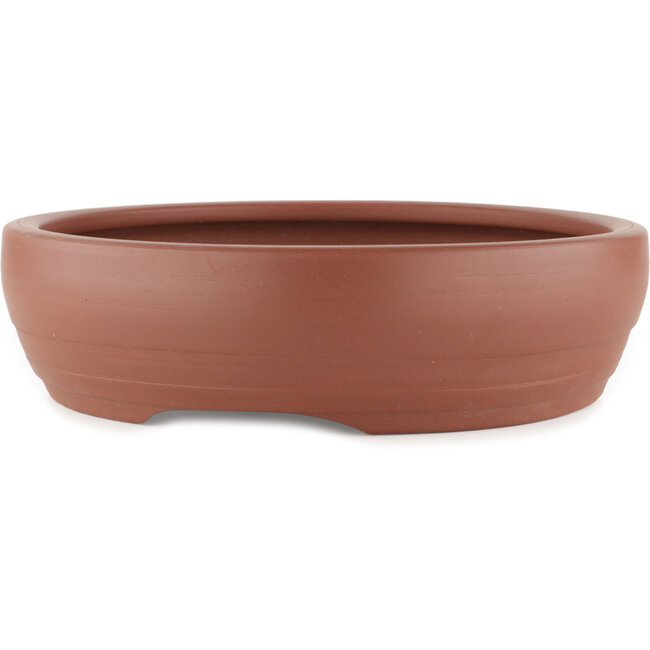 Vaso bonsai rotondo non smaltato - 305 x 305 x 80 mm