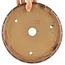 Pot à bonsaï rond non émaillé par Itouen - 245 x 245 x 75 mm