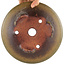 Pot à bonsaï rond non émaillé par Itouen - 230 x 230 x 65 mm