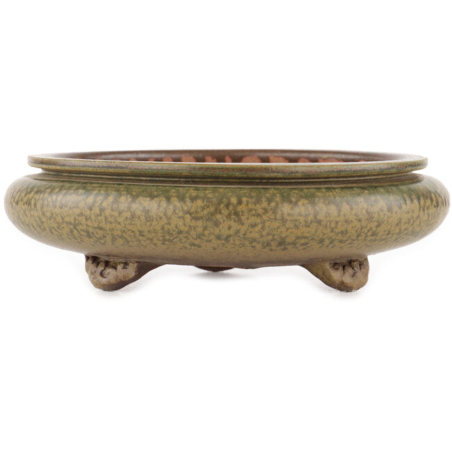 Round unglazed bonsai pot by Itouen - 230 x 230 x 65 mm
