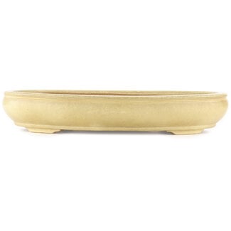 Hattori Tomoyuki 440 mm oval off-white bonsai pot by Hattori, Tokoname, Japan