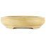 Oval off-white bonsai pot by Hattori - 440 x 320 x 70 mm