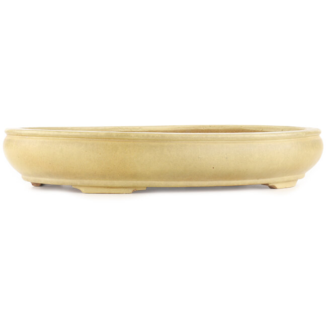 Vaso bonsai ovale bianco sporco di Hattori - 440 x 320 x 70 mm