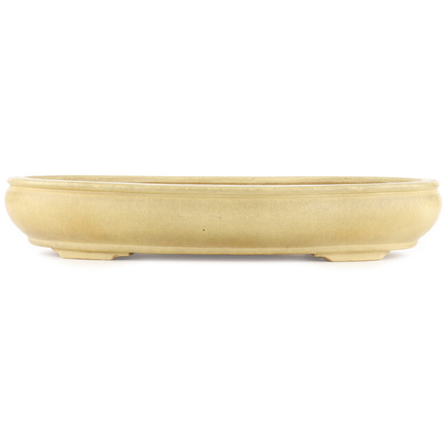 Maceta ovalada para bonsái de color blanco roto de Hattori - 440 x 320 x 70 mm