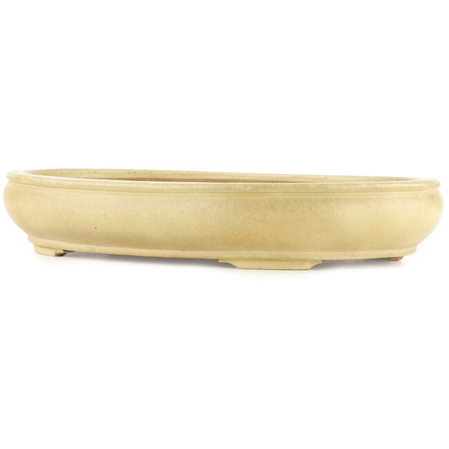 Oval off-white bonsai pot by Hattori - 440 x 320 x 70 mm