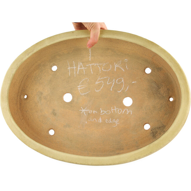 Maceta ovalada para bonsái de color blanco roto de Hattori - 440 x 320 x 70 mm